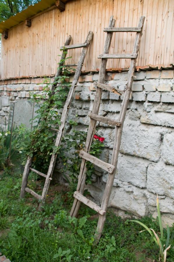 Notas Tuecsoek Vendeghaz Appartement Agyagosszergény Buitenkant foto