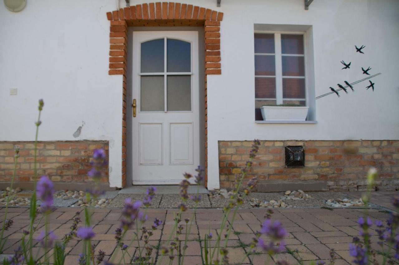 Notas Tuecsoek Vendeghaz Appartement Agyagosszergény Buitenkant foto