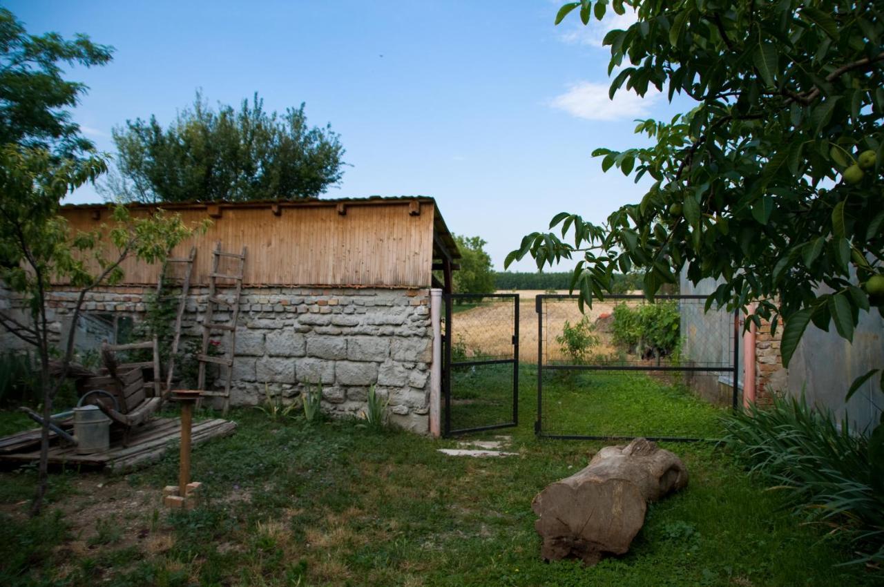 Notas Tuecsoek Vendeghaz Appartement Agyagosszergény Buitenkant foto
